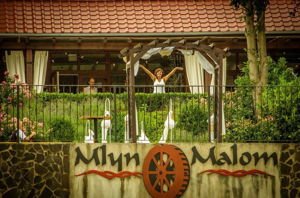 Mlyn Penzion & Wellness Radvaň nad Dunajom Exteriér fotografie