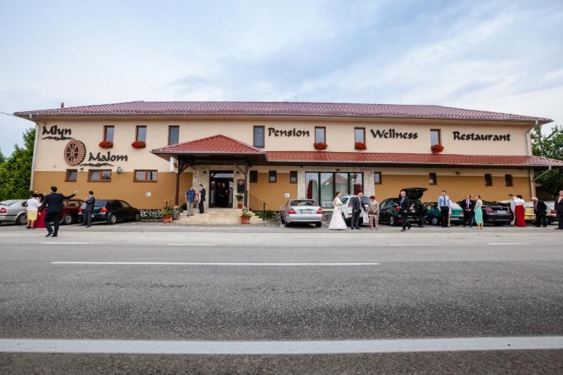 Mlyn Penzion & Wellness Radvaň nad Dunajom Exteriér fotografie